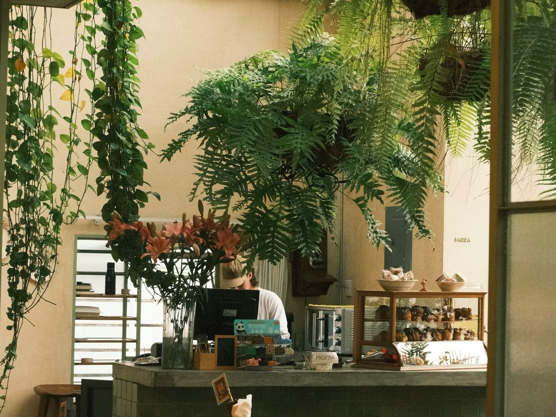 Comerciante atendiendo su local en un espacio con plantas