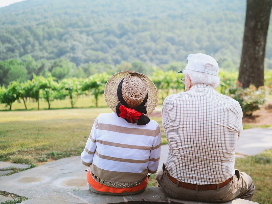 Pareja de adultos mayores contemplando un viñedo
